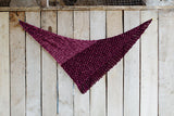 The Shawl Project book 2